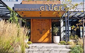 Gluck Patagonia Aparts